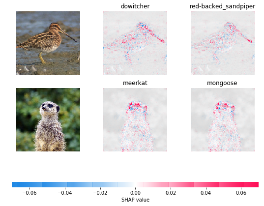 ../../../_images/example_notebooks_image_examples_image_classification_Explain_an_Intermediate_Layer_of_VGG16_on_ImageNet_%28PyTorch%29_3_0.png